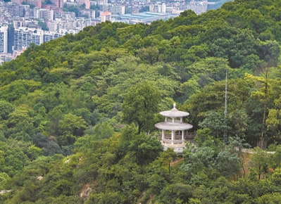 廣州市開展紅棉老兵生態(tài)林建設(shè)活動(dòng)