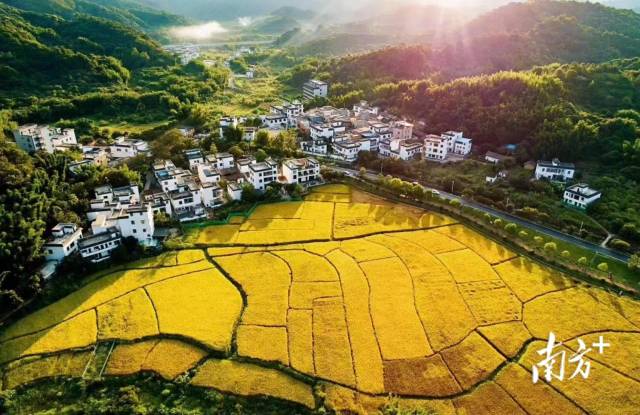 從化米埗村：“長紅”民宿村，“村”游正當(dāng)時(shí)