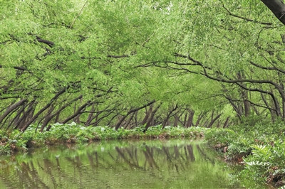 廣州推動(dòng)海洋空間生態(tài)整體保護(hù)、系統(tǒng)修復(fù)