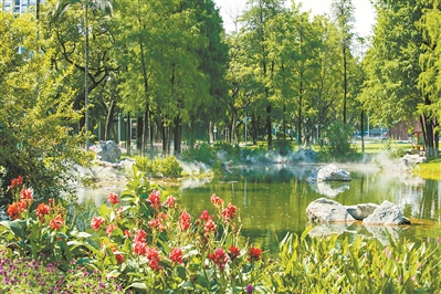 黃埔公園3.0升級亮相 番禺東沙古樟樹公園啟用
