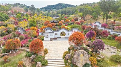 廣州農(nóng)業(yè)正在田間地頭書寫著數(shù)字化、智能化新篇