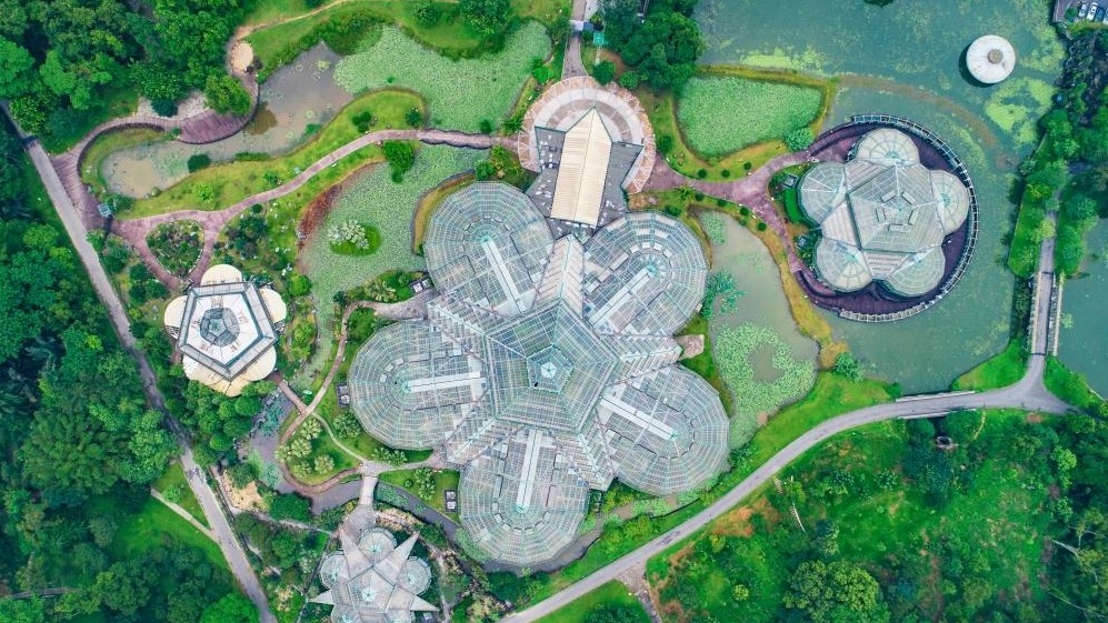 中國科學院華南植物園碳匯研究取得重大成果