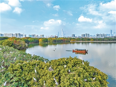 《廣州市生物多樣性保護(hù)戰(zhàn)略與行動(dòng)計(jì)劃（2024—2030年）》印發(fā)