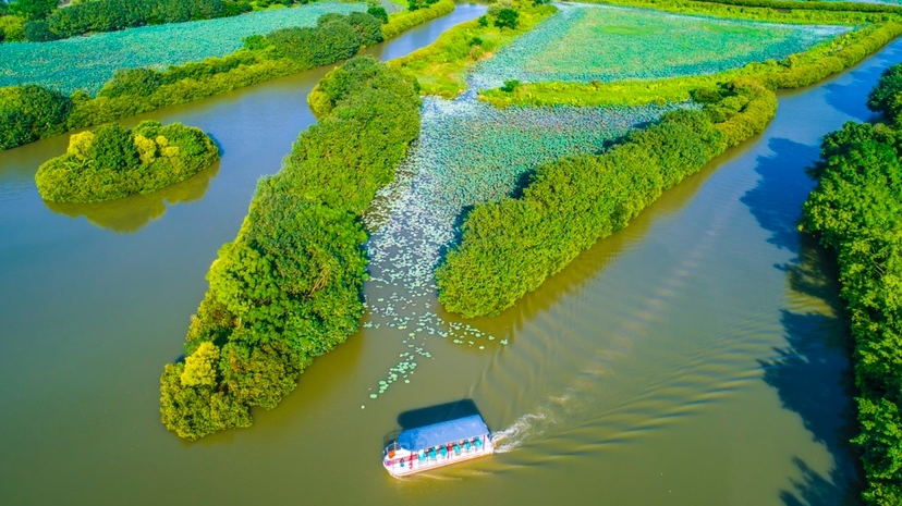 南沙濕地打造“大灣區中央濕地公園”