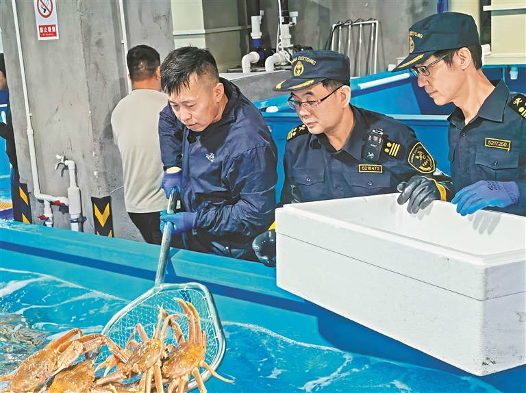 華南地區(qū)首個海捕蟹保稅倉儲項目落地廣州黃埔綜合保稅區(qū)